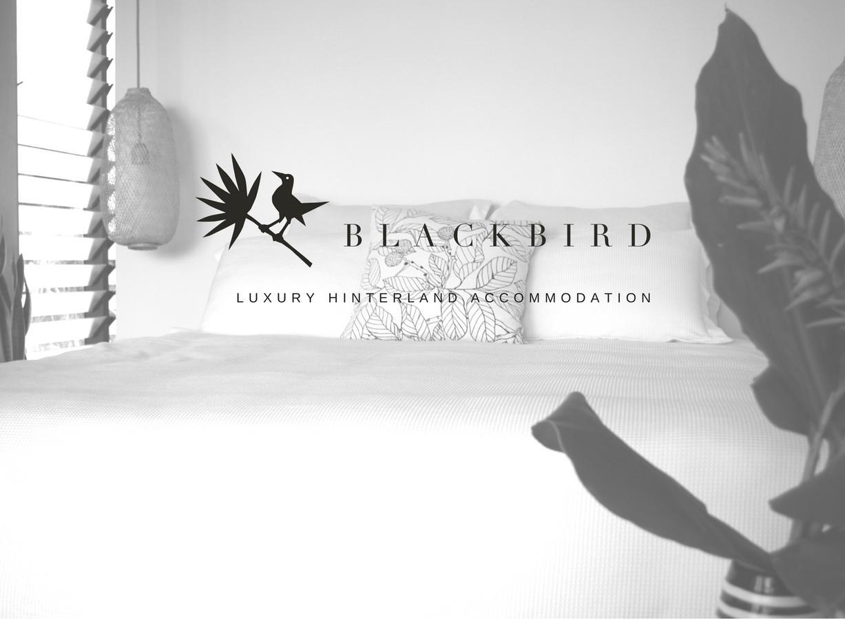 Blackbird Luxury Accommodation Mullumbimby Extérieur photo